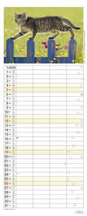 Familienplaner »Auf Samtpfoten durch's Jahr«, 190x470 mm, Juli