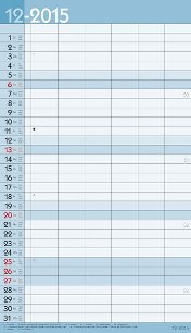 Streifenkalender »XL Family Timer«, 270x480 mm, Dezember