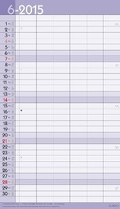 Streifenkalender »XL Family Timer«, 270x480 mm, Juni