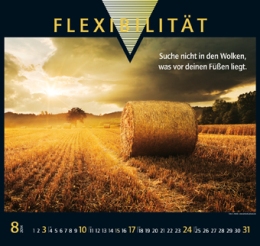 Bildkalender »Success«, 480x455 mm, August
