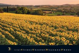 Bildkalender »Toscana«, 580x390 mm, Juli