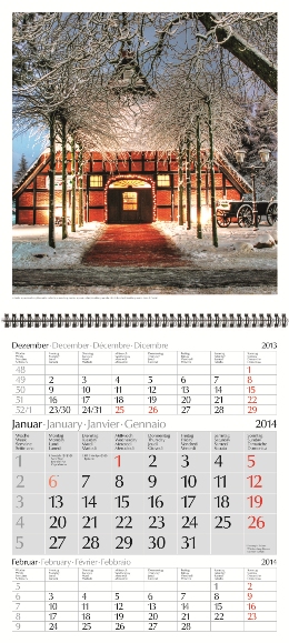 Dreimonats-Bildkalender »Deutschland«, 300x740 mm, Januar