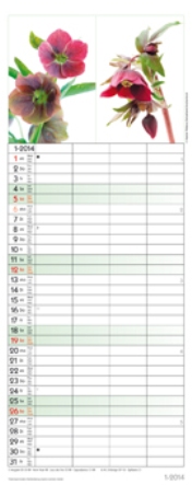 Streifenkalender &raquo;Flowers&laquo;, 190x480 mm, Januar