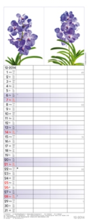 Streifenkalender &raquo;Flowers&laquo;, 190x480 mm, Dezember