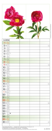 Streifenkalender &raquo;Flowers&laquo;, 190x480 mm, Juni