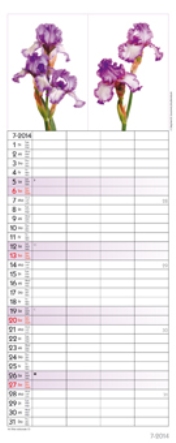 Streifenkalender &raquo;Flowers&laquo;, 190x480 mm, Juli