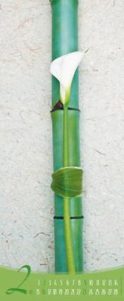 Streifenkalender &raquo;Zen&laquo;, 285x690 mm, Februar