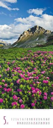 Bildkalender &raquo;Alpen&laquo;, 285x690 mm, Mai