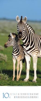 Bildkalender &raquo;Africa&laquo;, 285x690 mm, Oktober
