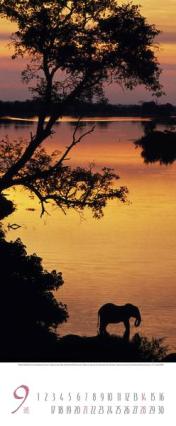Bildkalender &raquo;Africa&laquo;, 285x690 mm, September