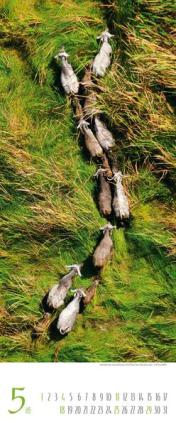 Bildkalender &raquo;Ruf der Wildnis&laquo;, 285x690 mm, Mai