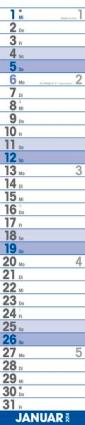 Streifenkalender &raquo;Supertimer&laquo;, 170x850 mm, Januar