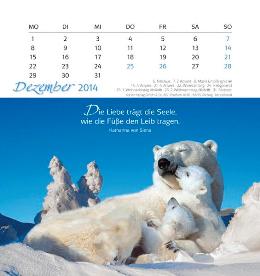 Tischaufstellkalender »Freu Dich«, 160x170 mm, Dezember