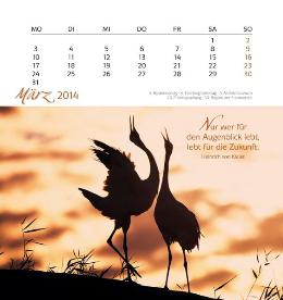 Tischaufstellkalender »Freu Dich«, 160x170 mm, März