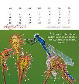 Tischaufstellkalender »Lebe Deine Träume«, 160x170 mm, August