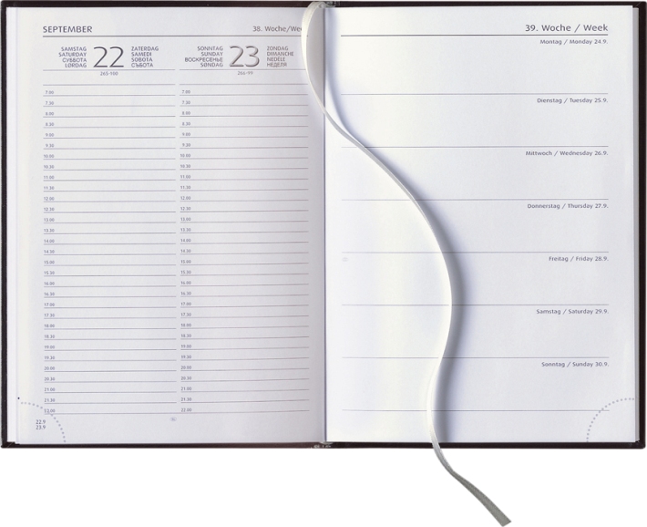 Tagesbuchkalender »Delta-732«, 8sprachig, 145x205 mm, 1farbig grau