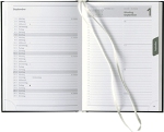 Tags-Buchkalender »Delta-734«, 1sprachig deutsch, 1farbig grau, 2 Lesezeichenbänder