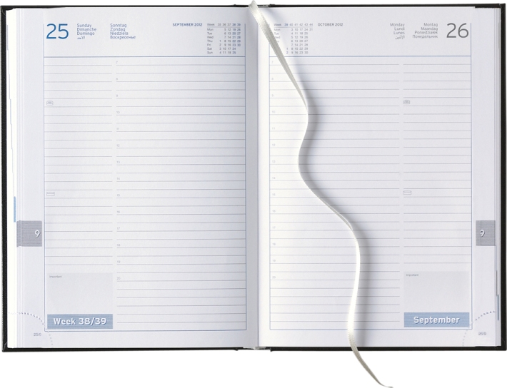 Tagesbuchkalender »Club-846«, 8sprachig, grau/blau, 145x205 mm
