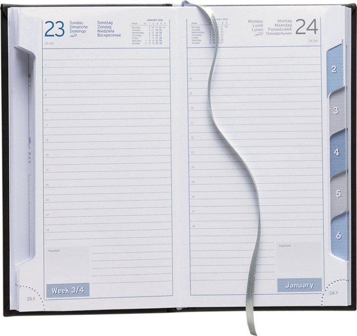 Tagesbuchkalender »Travel-Timer«, 8sprachig, grau/blau, 145x188 mm, Registerstanzung