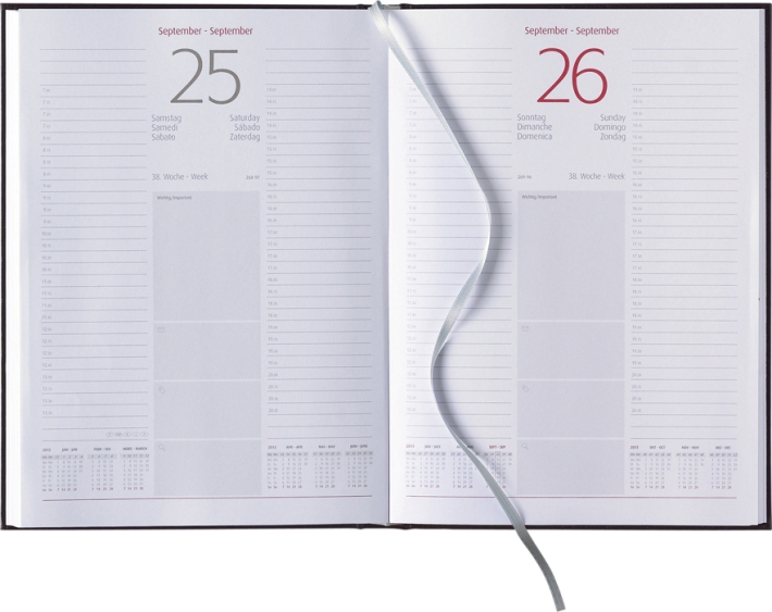 Tagesbuchkalender »Orga-Timer«, 6sprachig, grau/burgund, 172x240 mm