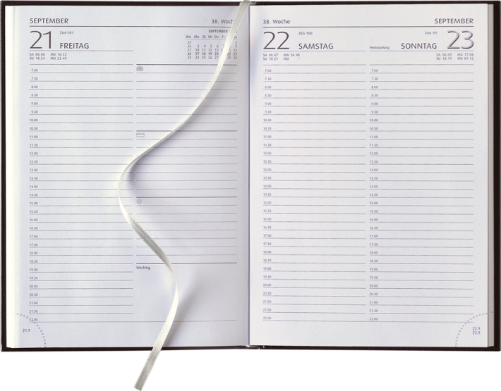 Tagesbuchkalender »Delta-891«, deutsch, 1farbig grau, 145x245 mm, Sa/So 1 Seite