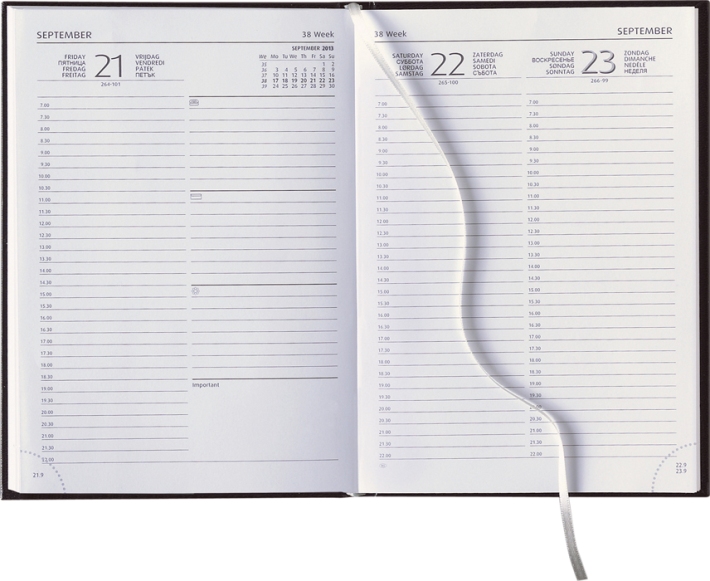 Tagesbuchkalender »Delta-894«, 8sprachig, 1farbig grau, Sa/So 1 Seite