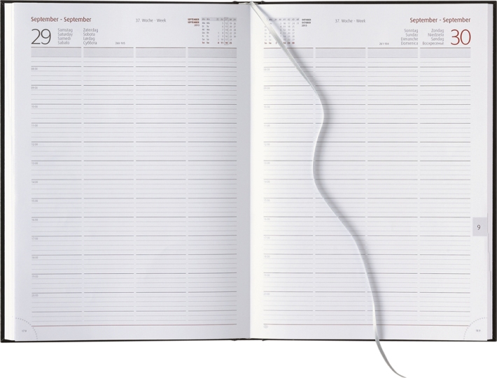 Tagesbuchkalender »Praxis-Timer«, 8sprachig, grau/burgund, 210x297 mm