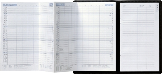 Taschenkalender Falttechnik, 87x153 mm, deutsch, 1 Monat/Seite