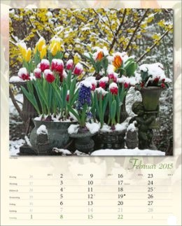 Bildkalender &raquo;Verborgene Idylle&laquo;, 245x345 mm, Februar