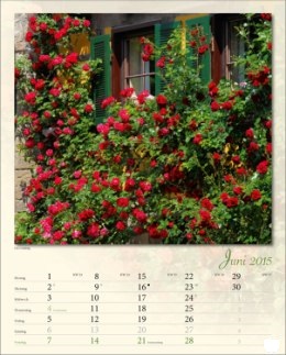 Bildkalender &raquo;Verborgene Idylle&laquo;, 245x345 mm, Juni