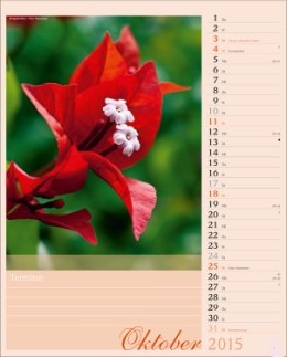 Bildkalender »Blütenzauber«, 245x345 mm, Oktober