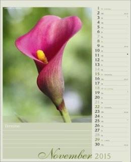 Bildkalender »Blütenzauber«, 245x345 mm, November