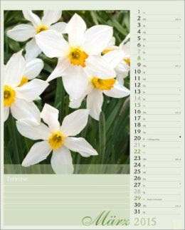 Bildkalender »Blütenzauber«, 245x345 mm, März