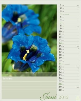 Bildkalender »Blütenzauber«, 245x345 mm, Juni