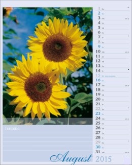 Bildkalender »Blütenzauber«, 245x345 mm, August