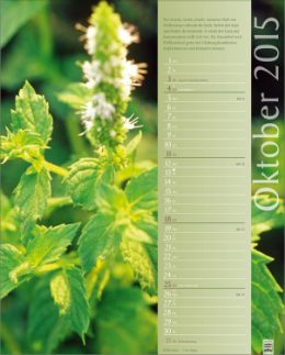 Bildkalender »Erlebniswelt der Düfte«, 245x345 mm, Oktober