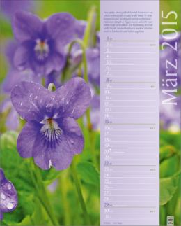 Bildkalender »Erlebniswelt der Düfte«, 245x345 mm, März