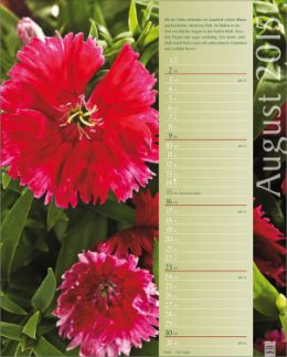 Bildkalender »Erlebniswelt der Düfte«, 245x345 mm, August