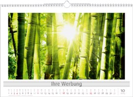 Bildkalender »Lichtimpressionen«, 490x340 mm, Oktober