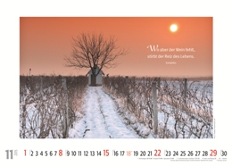 Bildkalender »Weinkalender«, 420x300 mm, November