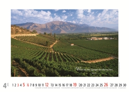 Bildkalender »Weinkalender«, 420x300 mm, April