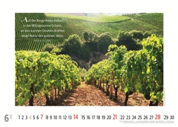 Bildkalender »Weinkalender«, 420x300 mm, Juni