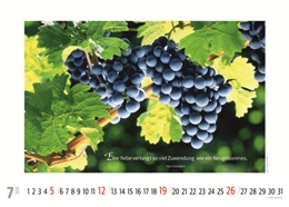 Bildkalender »Weinkalender«, 420x300 mm, Juli