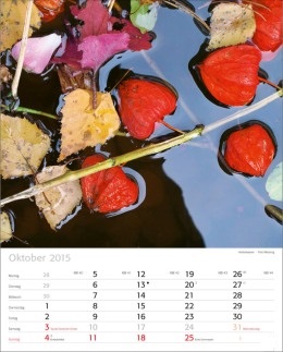 Bildkalender »Naturschauspiele«, 245x345 mm, Oktober