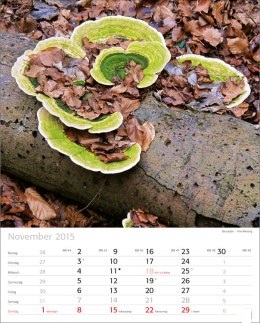Bildkalender »Naturschauspiele«, 245x345 mm, November