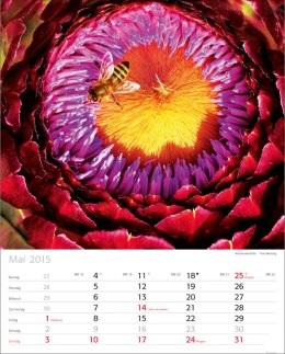 Bildkalender »Naturschauspiele«, 245x345 mm, Mai