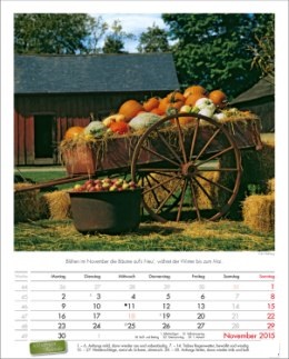 Bildkalender »Landpartie«, 245x345 mm, November