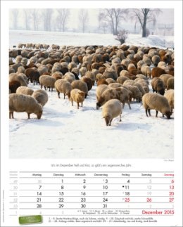 Bildkalender »Landpartie«, 245x345 mm, Dezember