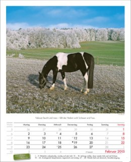 Bildkalender »Landpartie«, 245x345 mm, Februar
