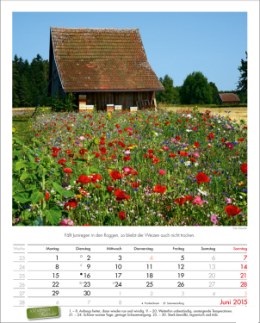 Bildkalender »Landpartie«, 245x345 mm, Juni